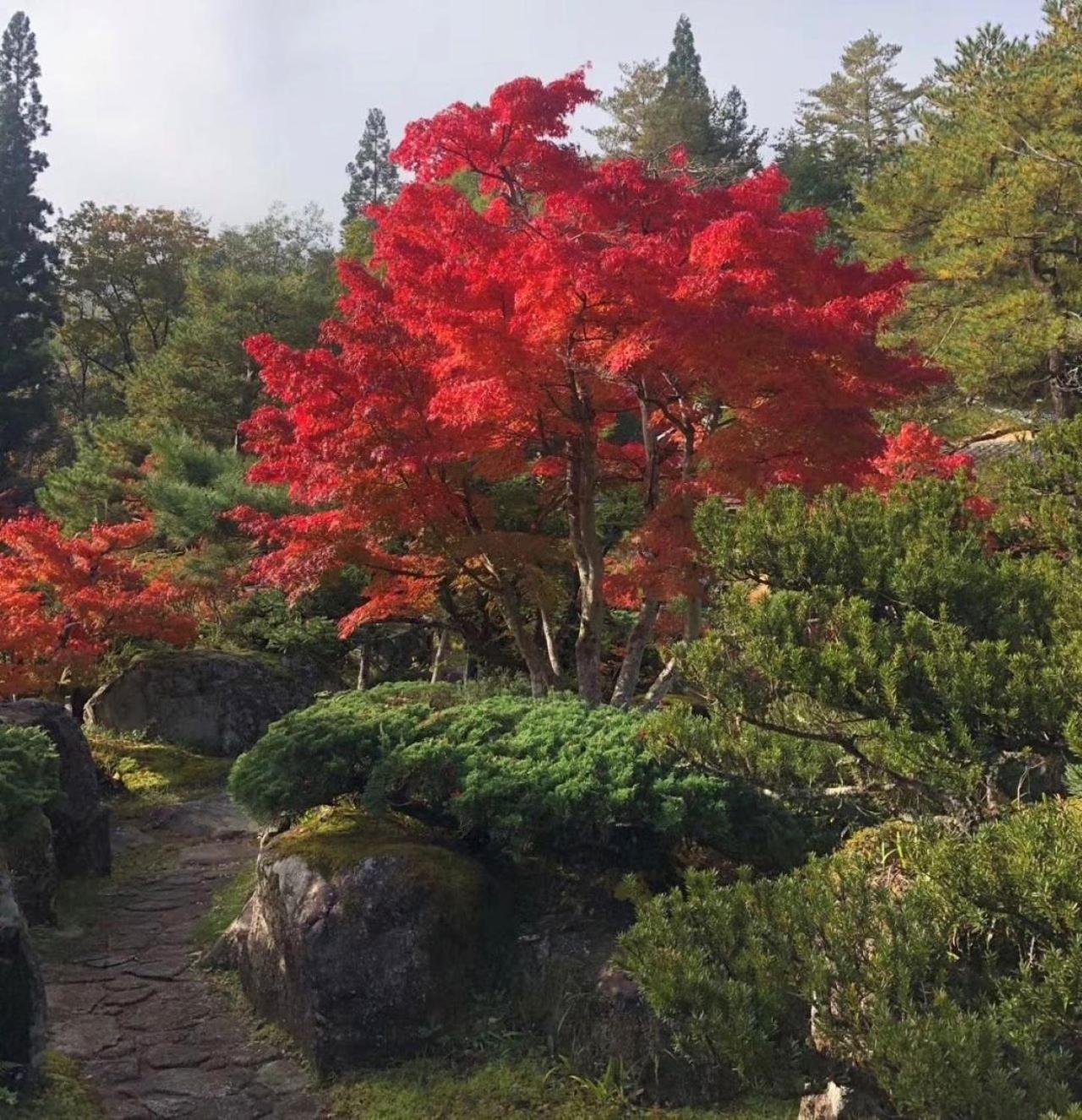 Shohakuen Villa Takajama Kültér fotó